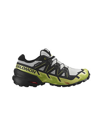 SALOMON | Herren Traillaufschuhe Speedcross 6 GTX | grau