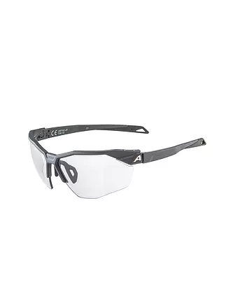 ALPINA | Herren Radbrille Twist Six HR Vario | grau