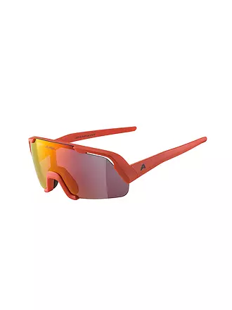 ALPINA | Kinder Radbrille Rocket | grau