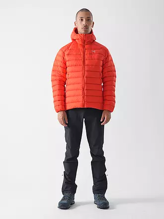 ARCTERYX | Herren Isojacke Cerium | rot