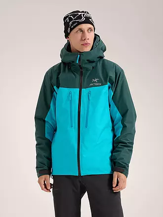 ARCTERYX | Herren Wanderjacke Alpha GTX Hoodie | schwarz