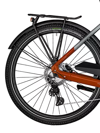 BERGAMONT | Herren E-Bike E-Horizon Edition LTD Gent | silber