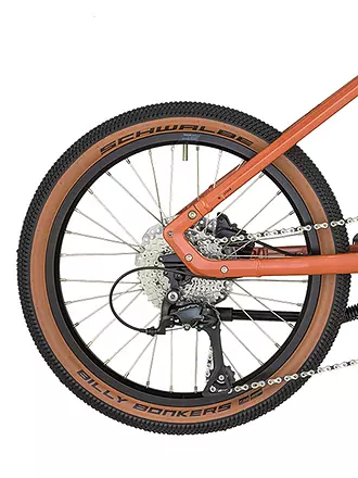 BERGAMONT | Herren Urbanbike Hans-Off | koralle