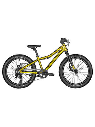 BERGAMONT | Jungen Mountainbike Bergamonster 20 Plus Boy 2022 | gold