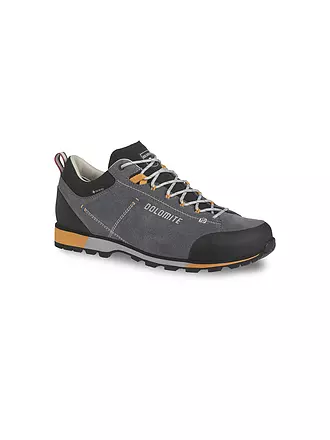 DOLOMITE | Herren Wanderschuhe 54 Hike Low Evo GORE-TEX | braun