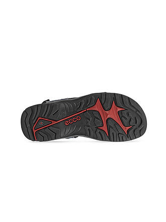 ECCO | Herren Sandale Offroad Marine | grau