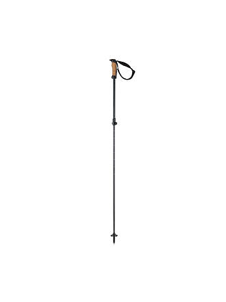 ELAN | Skistöcke Voyager Rod | schwarz