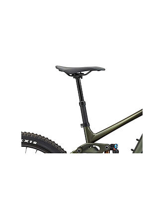 GIANT | Herren E-Mountainbike Reign E+ 0 750Wh | grün