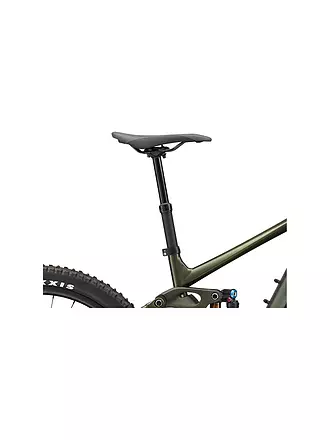 GIANT | Herren E-Mountainbike Reign E+ 0 750Wh | grün