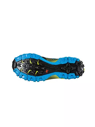 LA SPORTIVA | Herren Traillaufschuhe Bushido II GTX | schwarz