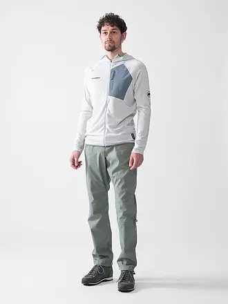 MAMMUT | Herren Fleecejacke Aenergy Light ML Hoodie | grau