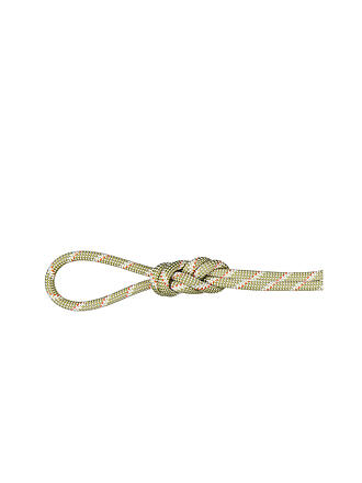 MAMMUT | Kletterseil 8.0 Alpine Classic Rope | grau