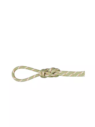 MAMMUT | Kletterseil 8.0 Alpine Classic Rope | grau