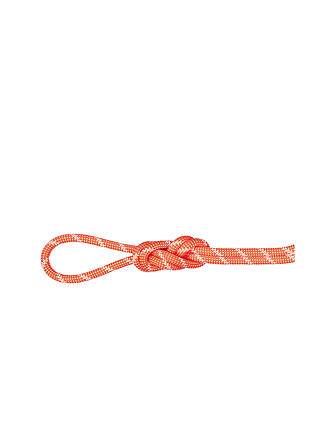 MAMMUT | Kletterseil 8.0 Alpine Classic Rope | grau