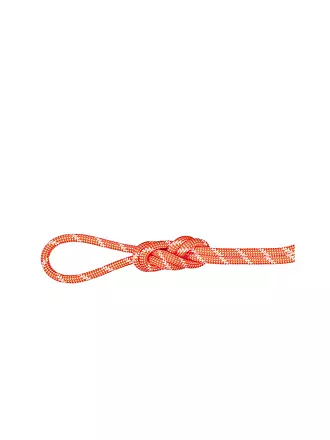 MAMMUT | Kletterseil 8.0 Alpine Classic Rope | 