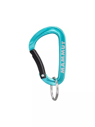 MAMMUT | Mammut Mini Carabiner Classic Keylock S | schwarz