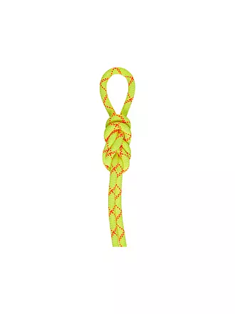 MAMMUT | Seil 9.5 Alpine Core Protect Dry Rope | gelb