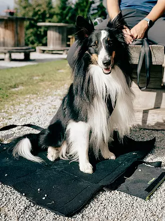 MAMO PET SPORTS | Active Dog Base | schwarz
