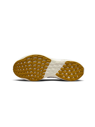 NIKE | Damen Laufschuhe Pegasus Turbo Next Nature | grau