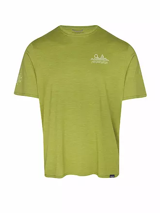 PATAGONIA | Herren Funktionsshirt Capilene® Cool Daily Graphic | blau