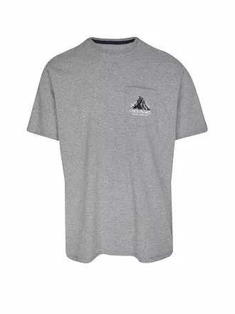 PATAGONIA | Herren Funktionsshirt Chouinard Crest | grau