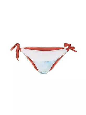 PICTURE | Damen Bikinihose Anise | bunt