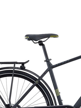 RAYMON | Herren Trekkingbike 28
