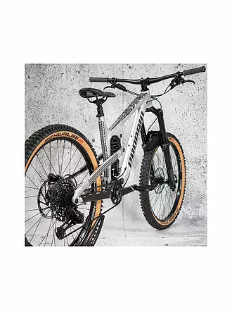 RIESEL DESIGN | frame:TAPE 3000 Vanlife Silver | schwarz