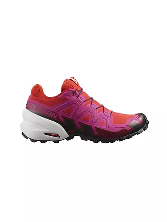SALOMON | Damen Traillaufschuhe Speedcross 6 | grau