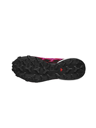 SALOMON | Damen Traillaufschuhe Speedcross 6 | grau
