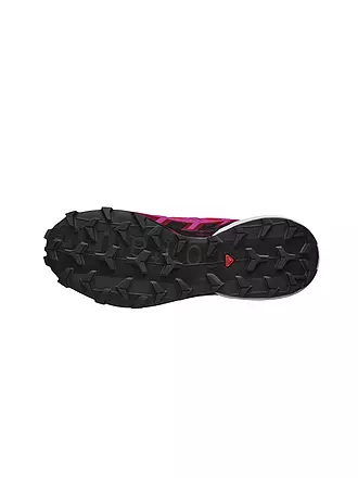 SALOMON | Damen Traillaufschuhe Speedcross 6 | grau