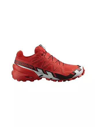 SALOMON | Herren Traillaufschuhe Speedcross 6 GTX | grau