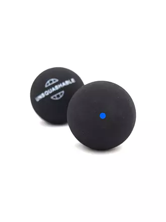 TALBOT TORRO | Squashbälle 2er Blister Blau / Fast | blau