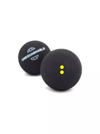 TALBOT TORRO | Squashbälle 2er Blister Doppelgelb / Extraslow | gelb