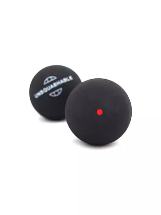 TALBOT TORRO | Squashbälle 2er Blister Rot / Medium | rot