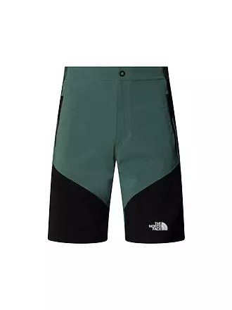 THE NORTH FACE | Herren Short Felik Slim Tapered | grau