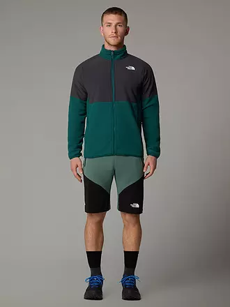 THE NORTH FACE | Herren Short Felik Slim Tapered | grau