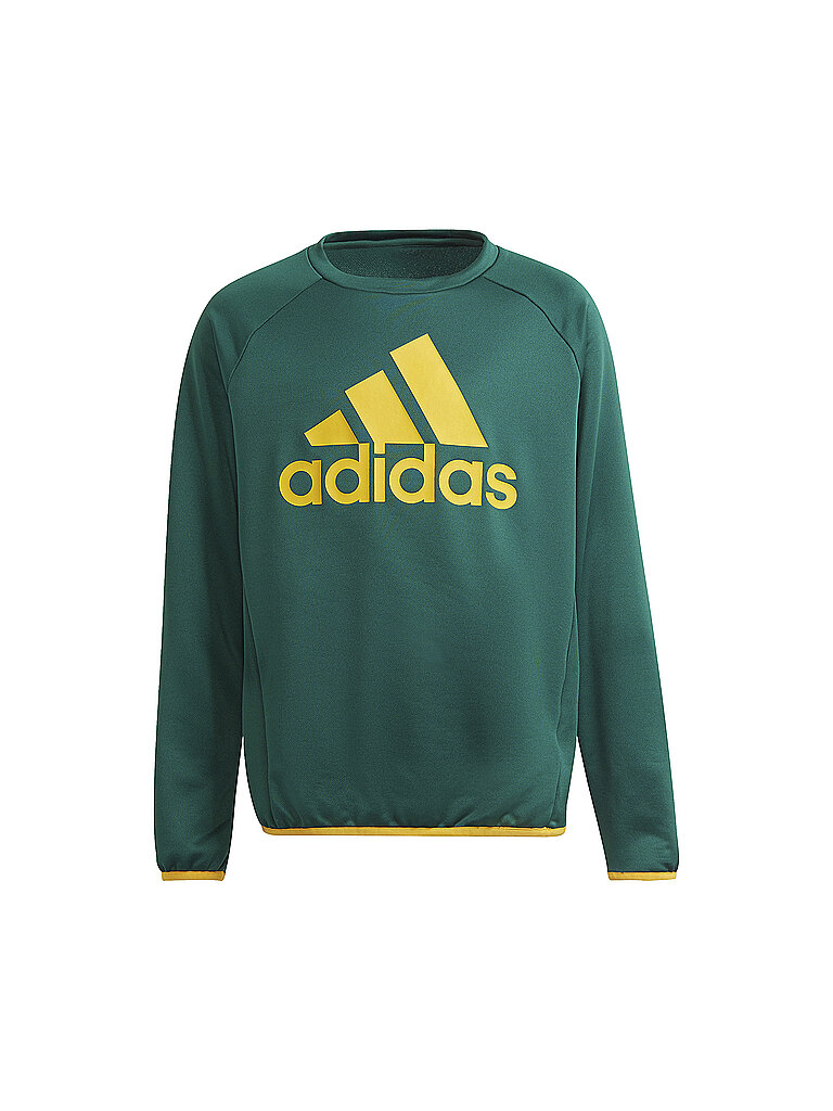 ADIDAS Jungen Sweater Designed To Move Big Logo  grün | 128