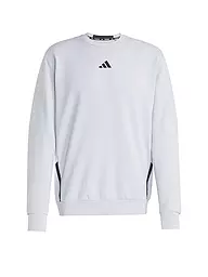 ADIDAS | Herren Fitnesssweater D4T | hellgrau