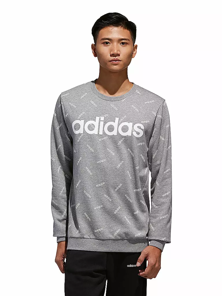 ADIDAS | Herren Sweater Graphic | grau