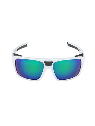 ALPINA | Damen Bergbrille Skiwalsh