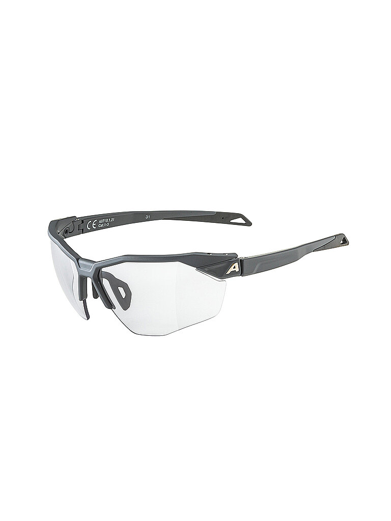 ALPINA Herren Radbrille Twist Six HR Vario grau