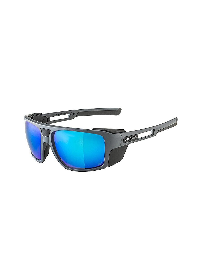 ALPINA Herren Bergbrille Skiwalsh grau