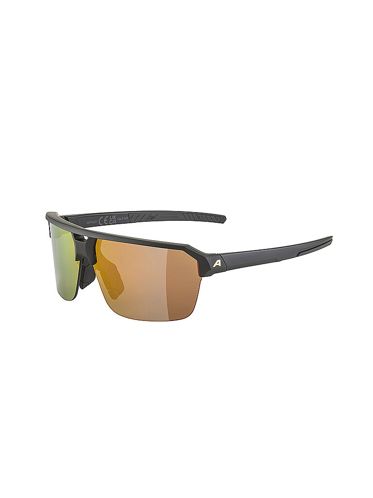 ALPINA Herren Radbrille Swift HR schwarz
