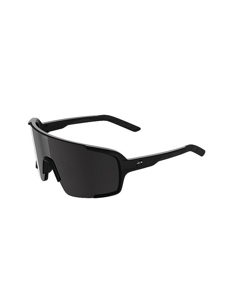 ALPINA Damen Radbrille Lumin schwarz