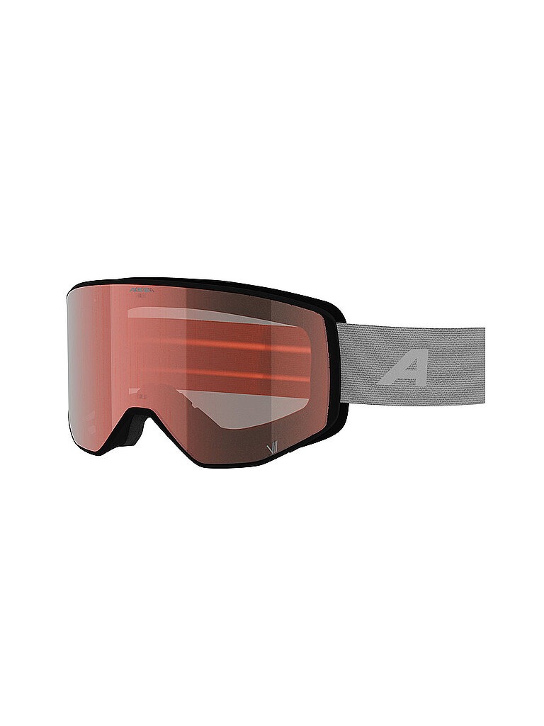 ALPINA Skibrille Venet M V weiss