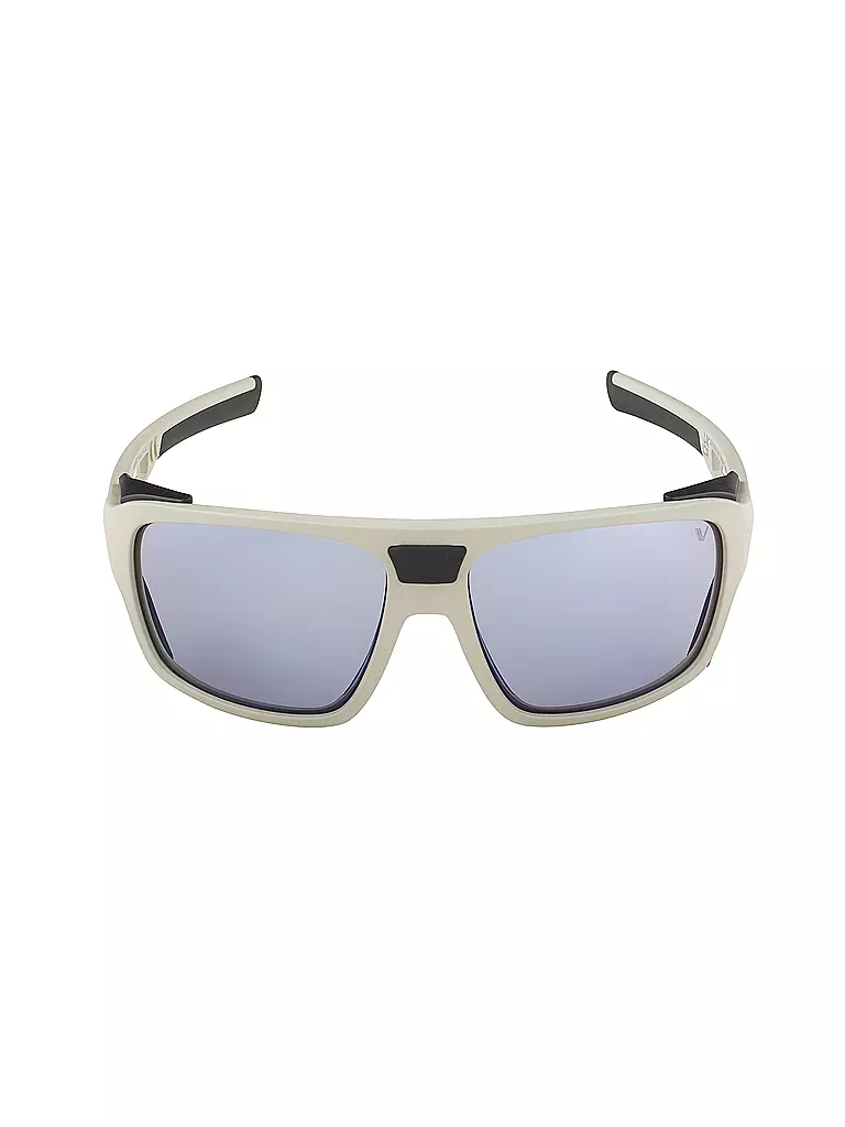 ALPINA | Damen Bergbrille Skywalsh V | grau