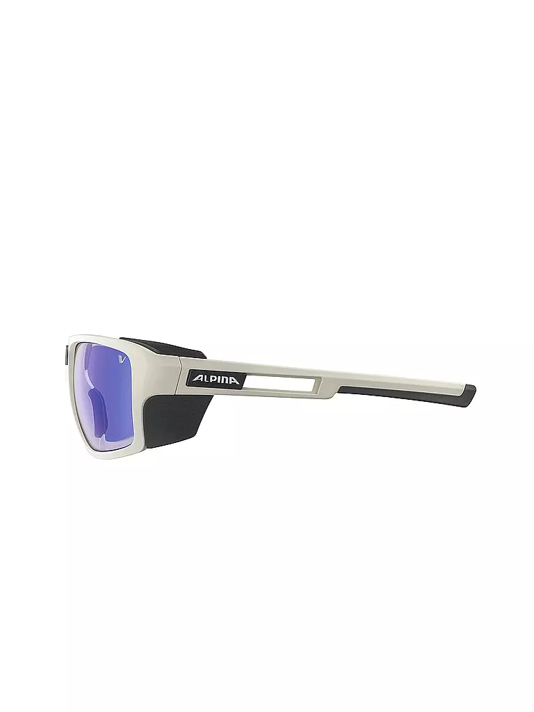 ALPINA | Damen Bergbrille Skywalsh V | grau