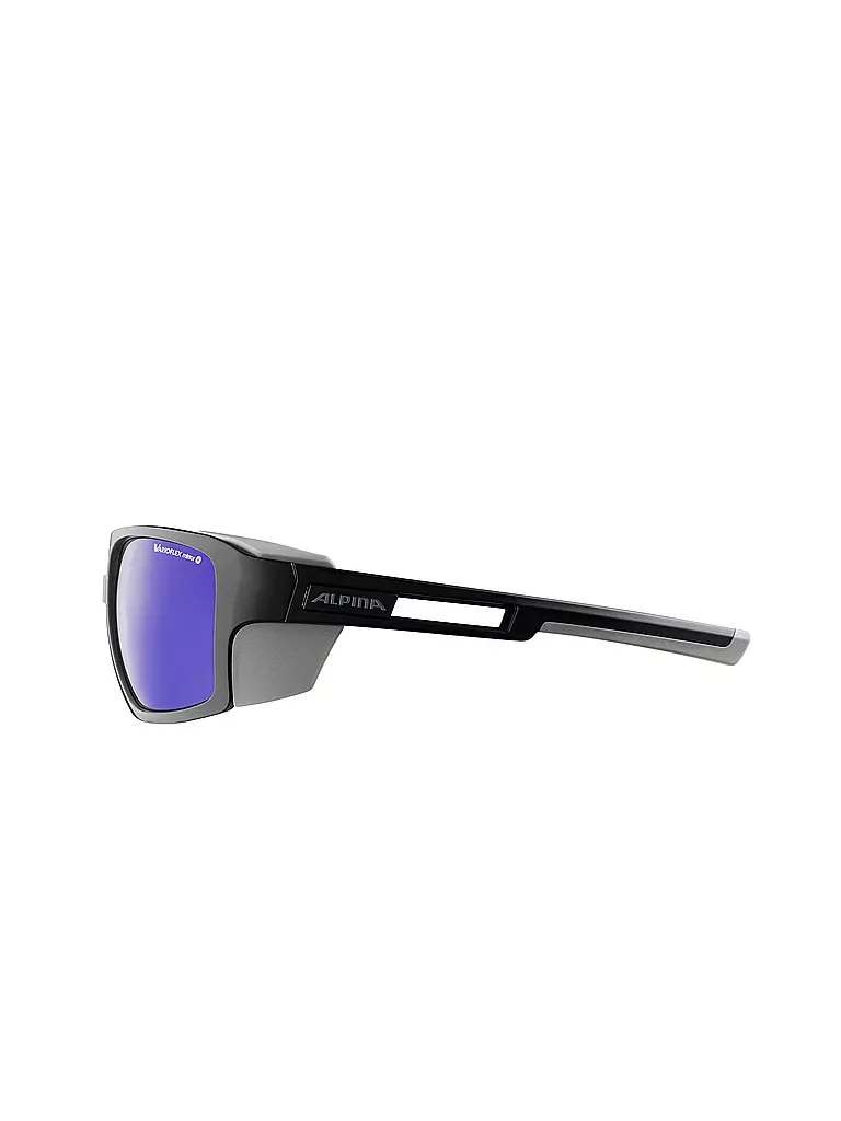 ALPINA | Herren Bergbrille Skywalsh | schwarz