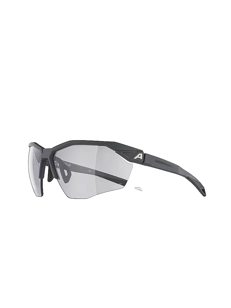 ALPINA | Herren Radbrille Twist Six HR Vario | grau